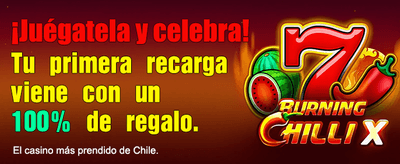 Siente la emoción del bingo