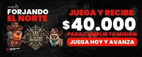 Bono de Bienvenida Real Chileno promo